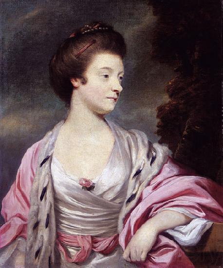 Sir Joshua Reynolds Elizabeth Spain oil painting art